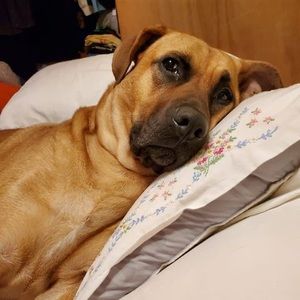 Meet your Posher, Olalla